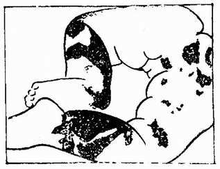 ����Ƥ����Ƭ���� 