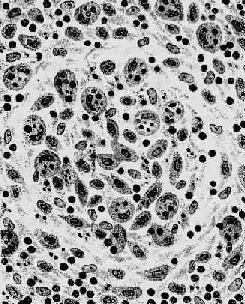 �˺���ѿ��ģʽͼ