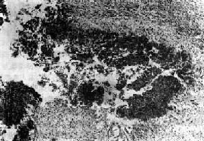 �����没����