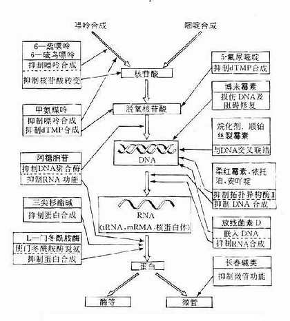 ��������<a href=